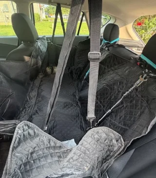 Seat covering with straps for pet transport